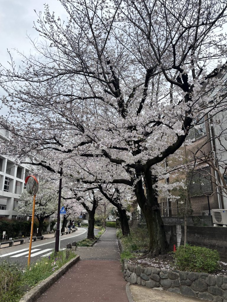 烏山川緑道