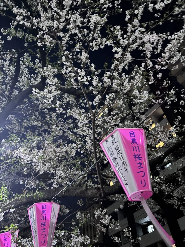 目黒川